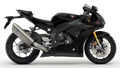 Negro